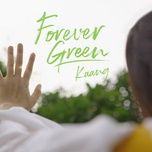forever green - kaang