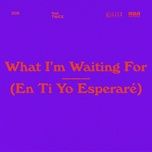 en ti yo esperare (what i'm waiting for) - doe, twice