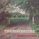 muddy waters - the mavericks