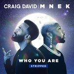 who you are (stripped) - craig david, mnek