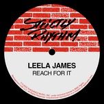 reach for it - leela james