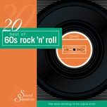 wild thing (rerecorded) - the troggs