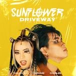 sunflower driveway - chicha22, kim chi sun, charles.