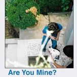 are you mine? - gorran