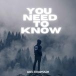 you need to know - axel johansson