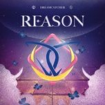 reason - dreamcatcher
