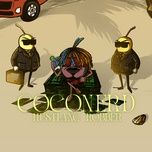 coconerd - hustlang robber
