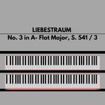 liebestraum no. 3 in a- flat major, s. 541 / 3 - patrizio meli, franz liszt