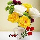 tren doi xuan (cover) - dang cap nhat