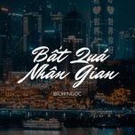 bat qua nhan gian - ho bich ngoc