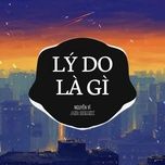 ly do la gi (air remix) - nguyen vi