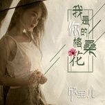 em la hoa cach tang cua anh / 我是你的格桑花 - han bao nhi (xin bao er)