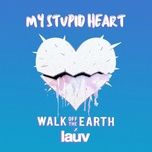 my stupid heart - walk off the earth, lauv