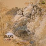 flowers on the mountain / 山上花 - ic band
