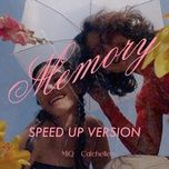 memory (speed up ver.) - catchellers, miq