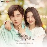 vi em ma den / 为你而来 (anh ay vuot nui song ma den ost) (beat) - trinh tuan thu (tree)