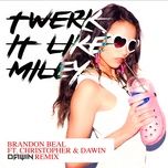 twerk it like miley (dawin remix) - brandon beal