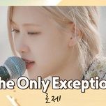 the only exception cover - rose