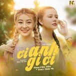oi anh gi oi (lofi remix) - hana cam tien