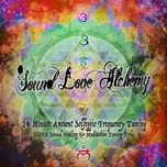 528 hz the dna healing love frequency tuning fork - v.a