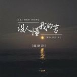 khong ai hieu noi dau cua toi / 没人懂我的苦 (dj ban) (beat) - dang cap nhat