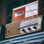 sonata no. 14 c# minor (moonlight) , opus 27,2 1 ali - ludwig van beethoven, classical lofi beats, classical vinyl
