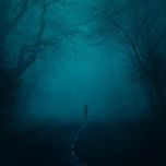 snowfall - øneheart, reidenshi