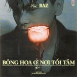 bong hoa o noi toi tam - baz, mtr