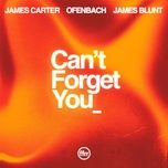 can’t forget you - james carter, ofenbach