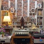 mua mua di qua - che linh, phuong dung