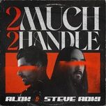 2 much 2 handle - alok, steve aoki