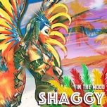 liquor buss  (feat. noah powa & future fambo) - shaggy