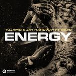 energy (feat. bay-c) - tujamo, jay hardway