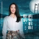 mong luc anh gap lai em / 愿你再见我时 - dam duy duy (sitar tan)