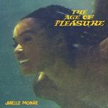 the french 75 (feat. sister nancy) - janelle monae