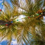 it's the most wonderful time of the year - jessie james decker