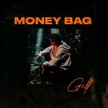 money bag - gill
