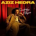 somebody's pleasure - aziz hedra
