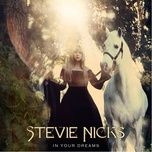 in your dreams - stevie nicks