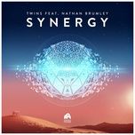synergy (feat. nathan brumley) [radio edit] - twins