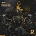 carpe noctum (mark sherry remix) - tiesto