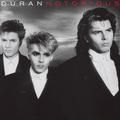 notoriousaurus rex (2010 remaster) - duran duran