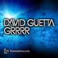 grrrr - david guetta