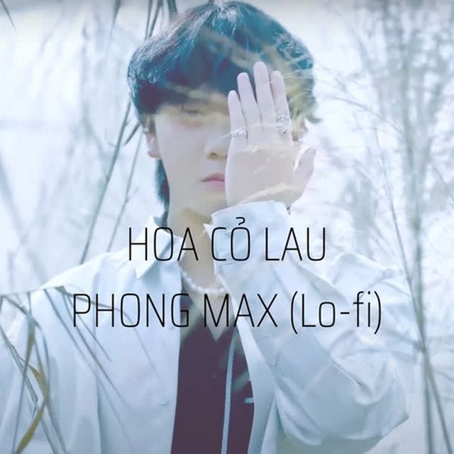 Hoa Cỏ Lau (Lofi Version - Beat) - Phong Max - tải mp3|lời bài hát - NhacCuaTui