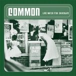 geto heaven part two - common, macy gray