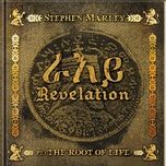 made in africa (album version) - stephen marley, wale, the cast of fela