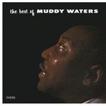 honey bee - muddy waters