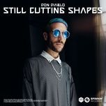 still cutting shapes - don diablo