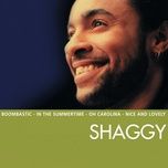 get up stand up - shaggy