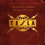 alot to lose - tesla